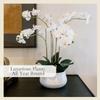 CG Hunter Faux White Orchid Plant, Premium Artificial Indoor Flower Display Stands 23, Beautiful Sculptural Blooms That Lasts Forever, White Planter Pot Included view 4