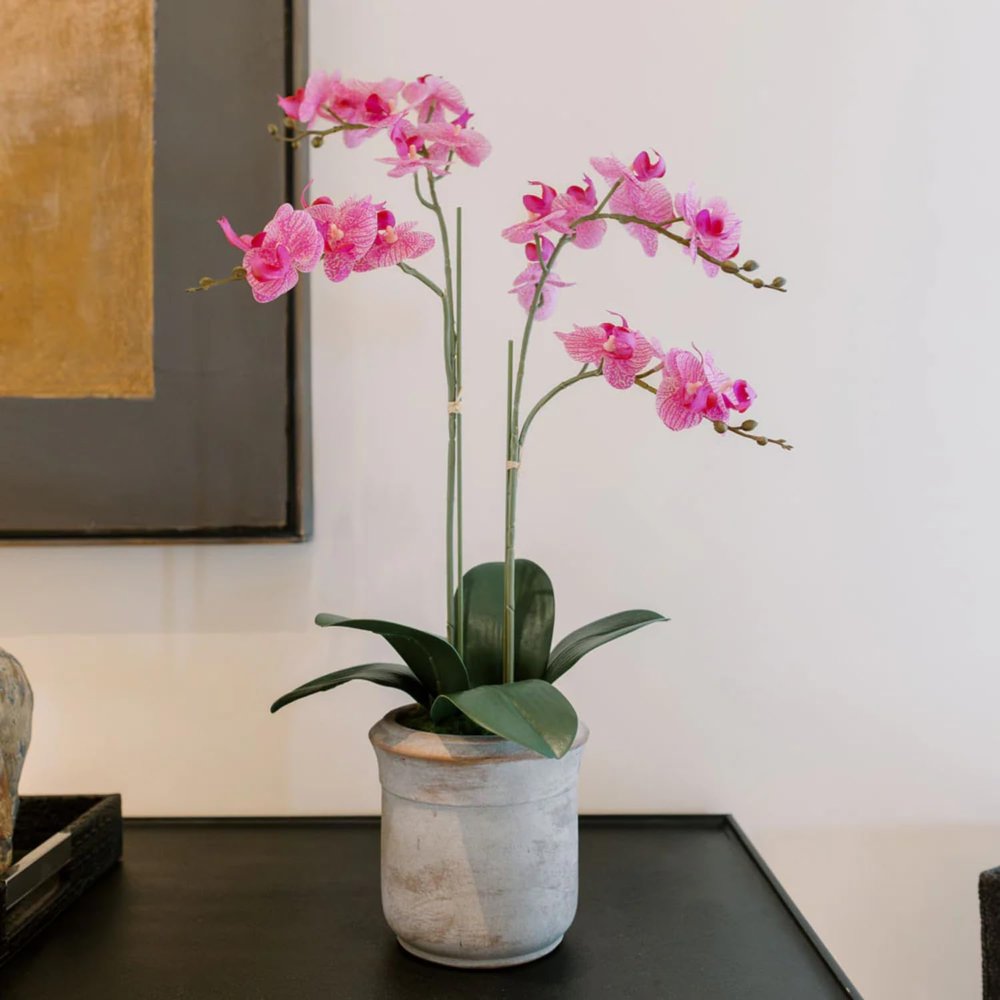 CG Hunter Faux Pink Orchid Plant, Premium Artificial Indoor Flower Display Stands 24, Beautiful Sculptural Blooms That Lasts Forever, Grey Planter Pot Included