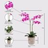 CG Hunter Faux Pink Orchid Plant, Premium Artificial Indoor Flower Display Stands 24, Beautiful Sculptural Blooms That Lasts Forever, Grey Planter Pot Included view 2