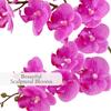 CG Hunter Faux Pink Orchid Plant, Premium Artificial Indoor Flower Display Stands 24, Beautiful Sculptural Blooms That Lasts Forever, Grey Planter Pot Included view 3