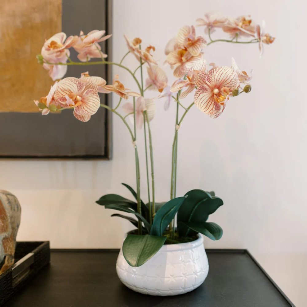 CG Hunter Faux Orange Orchid Plant, Premium Artificial Indoor Flower Display Stands 23, Beautiful Sculptural Blooms That Lasts Forever, White Planter Pot Included