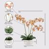 CG Hunter Faux Orange Orchid Plant, Premium Artificial Indoor Flower Display Stands 23, Beautiful Sculptural Blooms That Lasts Forever, White Planter Pot Included view 2