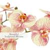 CG Hunter Faux Orange Orchid Plant, Premium Artificial Indoor Flower Display Stands 23, Beautiful Sculptural Blooms That Lasts Forever, White Planter Pot Included view 3