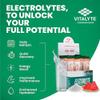 Vitalyte Electrolyte Powder Drink Mix, Isotonic Electrolyte Hydration Mix, Bulk Case Stick Pack (12 Pack, Watermelon) view 2
