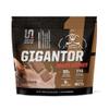 Undefined Nutrition Gigantor Mass Gainer by Brian Shaw (60g Protein, 30 Servings, up to 790 Quality Calories)  Hardcore Hard Gainer Formula with 5- Phase Protein Blend (5.16 lbs, Chocolate) view 1