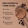 BODi Shakeology 0g Added Sugar Whey Protein Powder - Chocolate, 30 Servings view 3