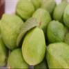 Fresh Thai Guava by RawJoy Farms view 2