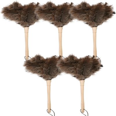 Daieeparty Ostrich Duster Fluffy Natural Feather Dusters with Wooden Handle Cleaning Supplies for Home Office Car (5, 16inch)
