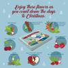 Tea Advent Calendar 2025 Elfin by Acorus - 8 Christmasy flavors  24 tea bags For The Christmas Countdown - Gift Idea For Christmas - Limited Edition view 2