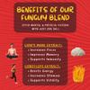 ODD BALLS Organic Energy Balls Cherry - Superfood Mushroom Snack - Running, Cycling, Hiking - Gels, Bars Alternative - Lion's Mane Focus, Cordyceps Energy - Vegan, Gluten Free Snacks for Kids & Adults (8.5 oz, Cherry) view 2