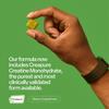 VYBRANCE LABS Creatine Gummies for Women & Men First & Only 5g Creatine + Taurine + Vitamin B12 | Vegan Creatine Gummies | Sugar-Free | Green Apple view 3
