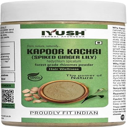 8.81 Ounce / 250g Powder Kapoor Kachri, Kapur Kachri, Hedychium Spicatum, Kapur Ekangi, Spiked Ginger Lily