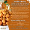 Dumpling Mix Powder Loukoumades Honey Puffs Donuts Sweet Crunchy Arab Egypt Dessert Arabic Turkish Sweets Delicious Taste Easier Cooking Kosher Halal (1 Pack = 7.05 oz / 200 gm) view 3