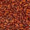 Dry Roasted Almonds with Sea Salt 2.5 lbs (pack of 2) view 3