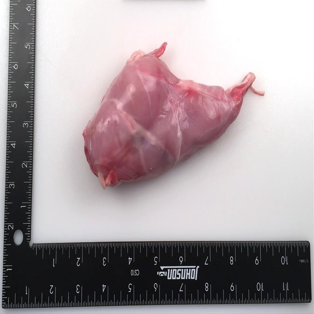 Pel-Freez Frozen Rabbit Legs - 7-9 oz, 12 lb Case - Tender and Juicy, Low Fat, Premium