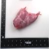 Pel-Freez Frozen Rabbit Legs - 7-9 oz, 12 lb Case - Tender and Juicy, Low Fat, Premium