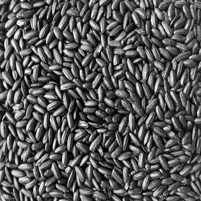 Emperor's Black Rice - Non-GMO, Whole Grain, Vegan - Rich in Protein and Fiber, All Natural (10 Pounds)