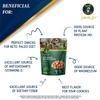 AZNUT Raw Hazelnuts Filbert Nuts, Shelled, Gluten Free, Fresh, Premium Quality 100% Natural Non-GMO Project Certified, Kosher Certified, Great Snacks, Resealable Bag 2 LB view 3