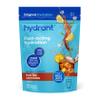 Hydrant - Bulk Electrolyte Powder, Iced Tea Lemonade Flavor, 30 Servings Instant Hydration Powder - Low Sugar Drink Mix for Daily Use, Travel & Workouts view 1