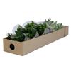 Bloomingmore | Fresh Cut Greenery | Natural Israeli Ruscus Greens | Home, Office, Wedding Decor, DIY, Party Event, Housewarming, Teacher and Engagement (100) view 4