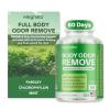 Body Deodorizing Supplement, Natural Internal Odor Control Pills for Men & Women, Chlorophyll Capsules for Skin, Breath, and Gut Health (60 Capsules) view 1