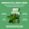 Body Deodorizing Supplement, Natural Internal Odor Control Pills for Men & Women, Chlorophyll Capsules for Skin, Breath, and Gut Health (60 Capsules) view 2