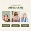 Nature Packaged Star Anise Essential Oil - Direct from Malagassi Essential Oils - Premium Star Anise Seed Oil for Aromatherapy, Diffuser, Candle, Soap, Skin and Hair (8oz) view 2