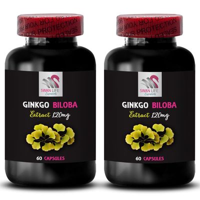 Ginkgo biloba health support - GINKGO BILOBA EXTRACT - Ginkgo biloba herbal, Plant-based antioxidant supplement, Herbal extract capsules, Ginkgo antioxidant boost 2 Bottles 120 Capsules