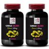 Ginkgo biloba health support - GINKGO BILOBA EXTRACT - Ginkgo biloba herbal, Plant-based antioxidant supplement, Herbal extract capsules, Ginkgo antioxidant boost 2 Bottles 120 Capsules view 1