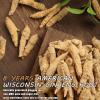 8 Years American Ginseng Root - Wisconsin Ginseng Root 15g Long American Ginseng Hand-Picked and Selected American Ginseng Root for Soup,Porridge,Tea,Etc. view 2