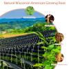 Natural Wisconsin American Ginseng Root - 6 Years 8g American Ginseng Hand-Picked Ginseng Root Non-GMO American Ginseng Root Have Multiple Ways to Eat view 2