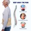 6xigouma Decompression Back Belt with Electric Inflatable Pump -Lumbar Support Belt for Lower Back Pain Relief, Air Traction Device Fits Waist Size 29-49 Inches(Beige) view 2