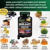 AyBet Shilajit for Men and Women-Organic Himalayan Shilajit Capsules with Sea Moss, Black Seed Oil, Ashwagandha, Rhodiola Rosea, Burdock, Cordyceps Mushroom, Ginseng, Turmeric, Ginger, 120 Capsules view 2