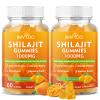 2 Packs Shilajit Gummies 1000mg Sugar Free - Shilajit Supplement for Men & Women - High in 85+ Trace Minerals & Fulvic Acid - Energy, Brain, Immunity - 120 Gummies view 1