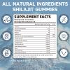 2 Packs Shilajit Gummies 1000mg Sugar Free - Shilajit Supplement for Men & Women - High in 85+ Trace Minerals & Fulvic Acid - Energy, Brain, Immunity - 120 Gummies view 2