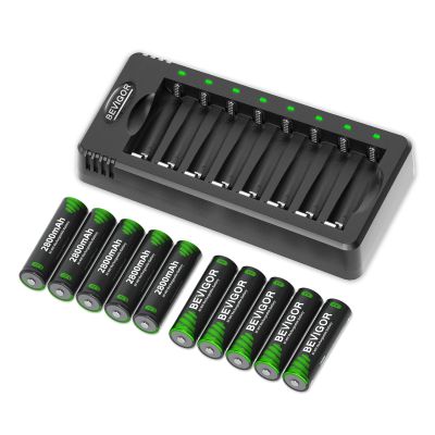 BEVIGOR Rechargeable NIMH AA Charger+10AA