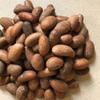 African Bitter Kola Nuts, Bitter Kola Retro Garcinia, Petit Cola Nut, Obi Abata Cola Nut (8oz) view 1
