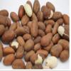 African Bitter Kola Nuts, Bitter Kola Retro Garcinia, Petit Cola Nut, Obi Abata Cola Nut (8oz) view 2