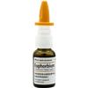 Euphorbium S 20 ml view 4