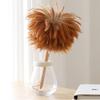 Brush for Cleaning, Precipitator Premium Feather Duster with Beech Handle - Attracts Dust Particles - Thick Soft Feathers, Hand Duster for Home, Office and Car, 3 Colors dust Catcher(C) view 3