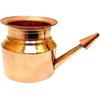 Pure Copper Jal Neti Pot for Puja, Religious Purpose, Gifting, Festival (Pack of 1) 250Ml view 1