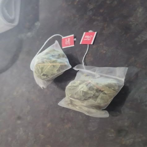 12 Travel Tea Bags with 5 Gram Of dried Fig leaves, No Chemical, Spray Used