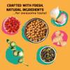 Masala Mama Tender Tangy Chickpeas - Heat and Eat Indian Food - Prepared Meals Ready to Eat - Non-GMO & Vegan Prepared Foods - Microwave Meals - Ready in 60 Seconds (Pack of 2) view 2