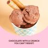 Star Candies Freeze Dried Ice Cream Chocolate (2.5 oz.) No Melting Freeze Dried Chocolate Ice Cream Candy | Crunchy & Delicious Camping Food | Premium Astronaut IceCream loved by Kids and Adults | Space and Astronaut Snack | Gift for Birthday or Part view 4