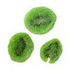 Dried Kiwi, 2 Pound Bag Dehydrated Fruit, Dried Fruit, The Hampton Popcorn & Candy Company view 3