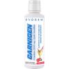 Evogen Carnigen - Liquid Carnitine | Supports Fat Metabolism & Recovery, Caffeine Free | L-Carnitine, Acetyl L-Carnitine | Victory Punch | 31 Servings view 1