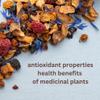 Loose Leaf Tea No Caffeine with Raspberry, Cornflower, Rosehip & Hibiscus (4oz.)  Fruit Tea Summer Herbal Infusion with Wild Berries view 2