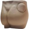 Buttock Hip Injection Practice Model, Manikin Teaching Model, Hip Injection Training Simulator Hip Intramuscular Anatomical Model view 2