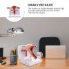3D Human Uterus Model Human Anatomy Anatomy of The Female Reproductive System Replica Anatomy for Physicians Educational Tool view 2
