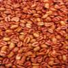 Cacahuate Enchilado- Roasted peanuts with Chili Powder - Authentic Mexican Style (16 oz) view 3